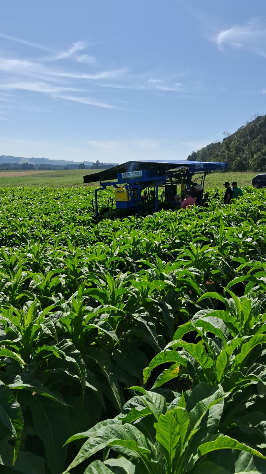 WhatsApp Image 2025-07-29 at 10.46.28 (3).jpeg