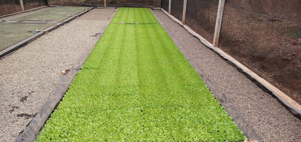 WhatsApp Image 2025-07-28 at 16.34.59.jpeg