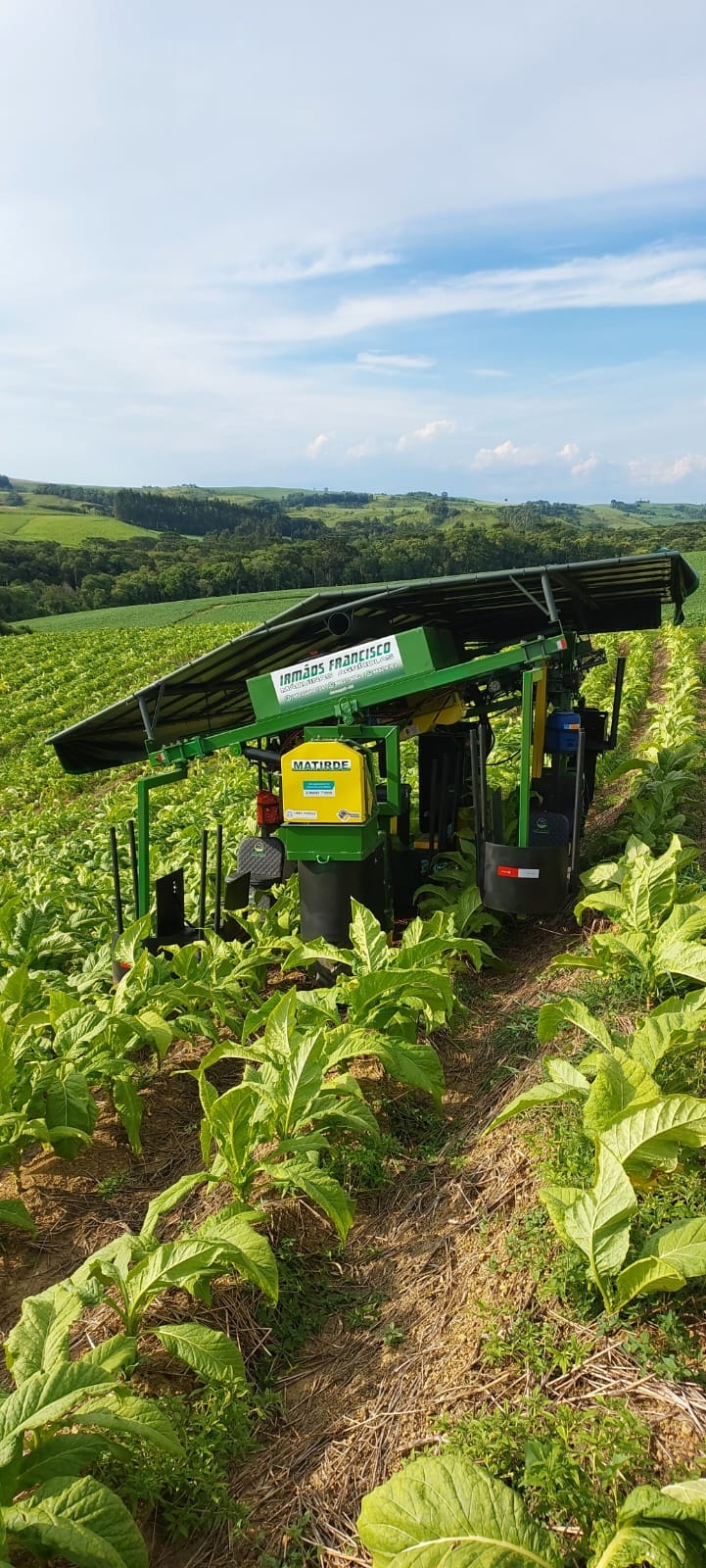 WhatsApp Image 2025-07-29 at 10.46.29.jpeg